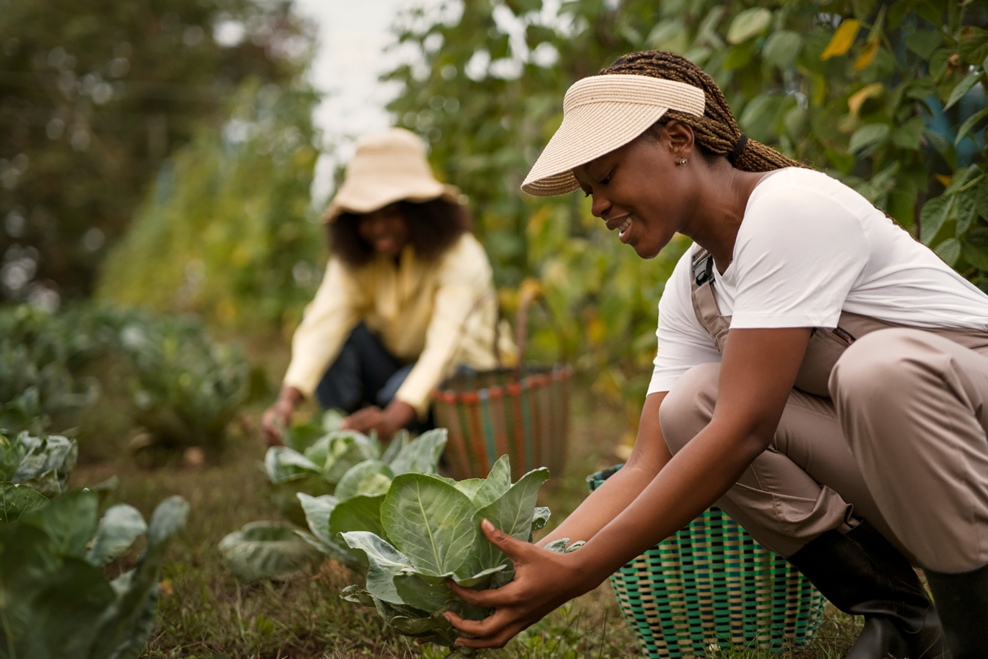 Financement agricole : Les options disponibles pour les agriculteurs